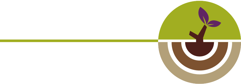 aiwin internationalschool